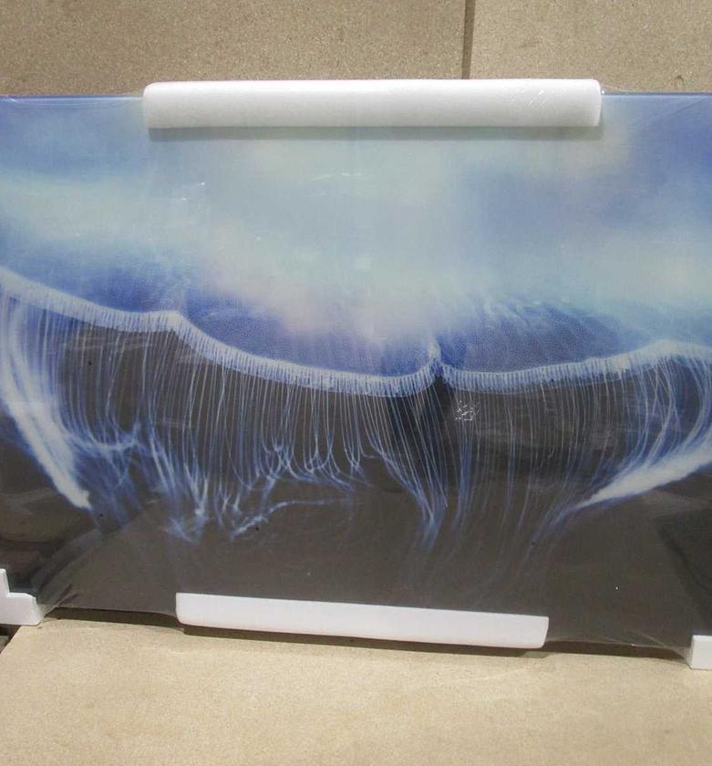 Canvas 4mm tempered glass image
