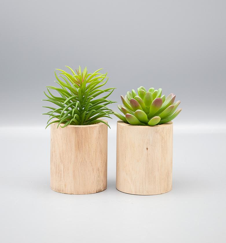 CACTUS IN WOOD VASE
 H14, image