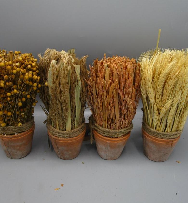 HARBVEST ARRANGE W/MIX GR image