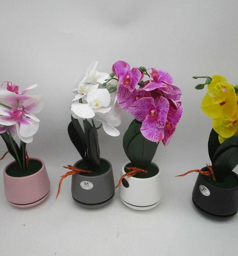 Artificial moth orchid 4 col image