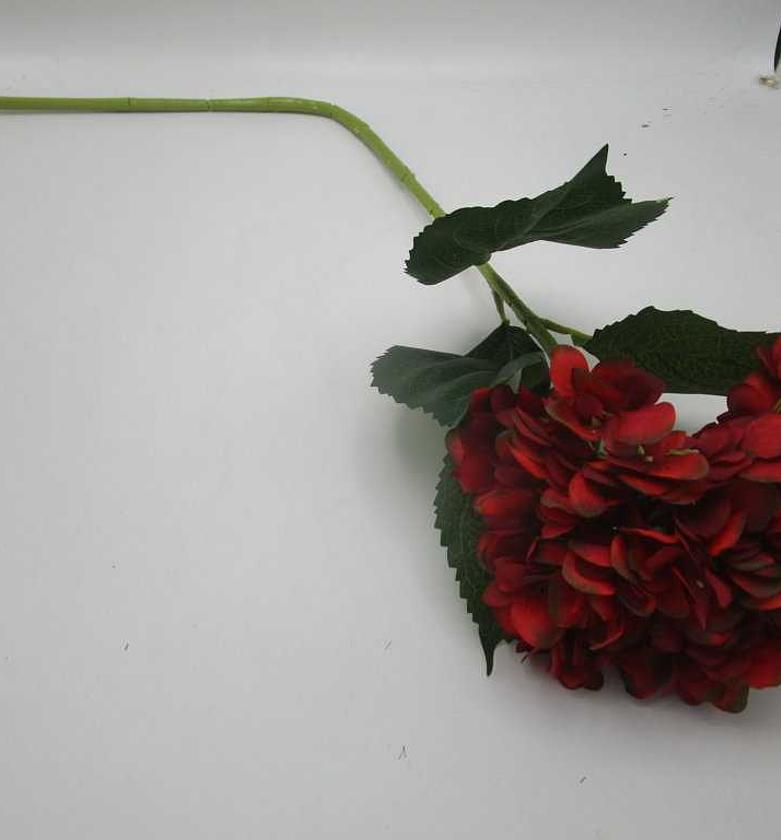 Artificial single hydrang image